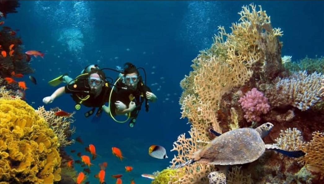 Hotel Elysian Hideaway Maafushi Zewnętrze zdjęcie